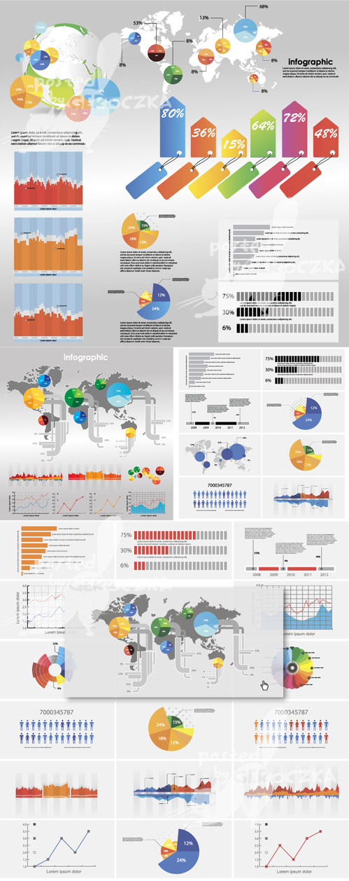 Infographic vector illustrations