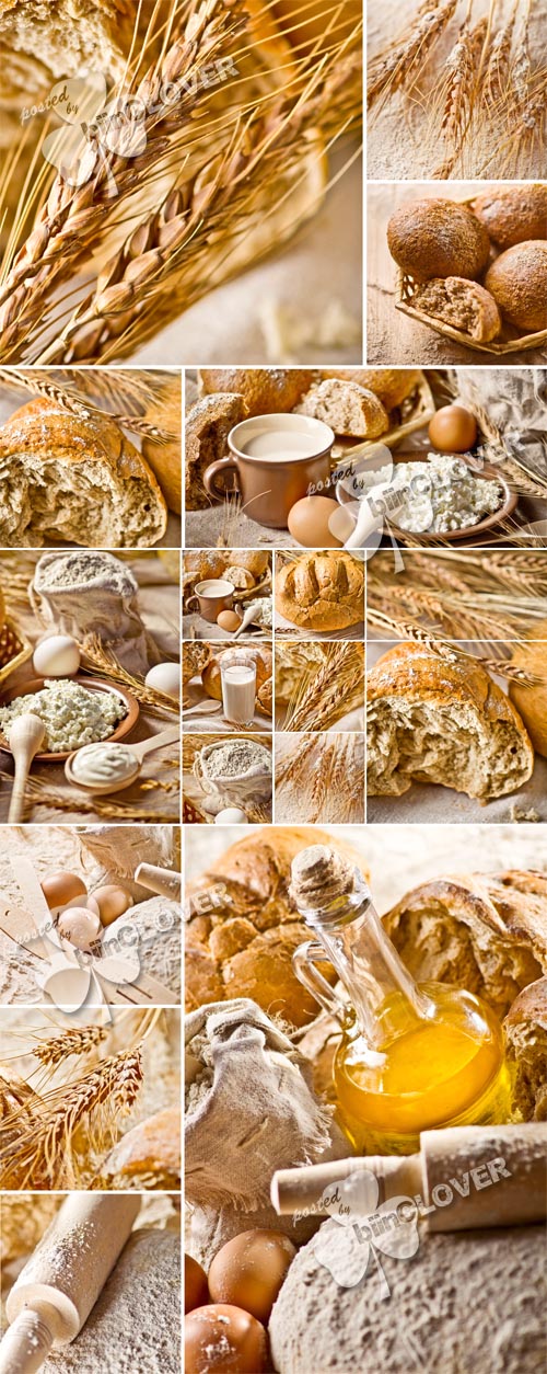 Bread and ears of wheat collage 0138