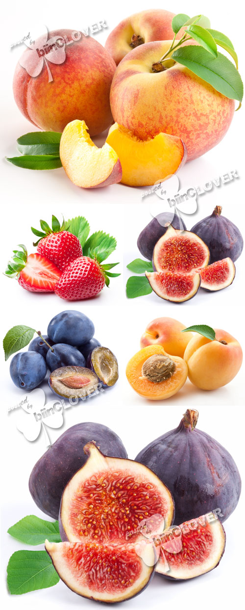 Fresh fruits 0140