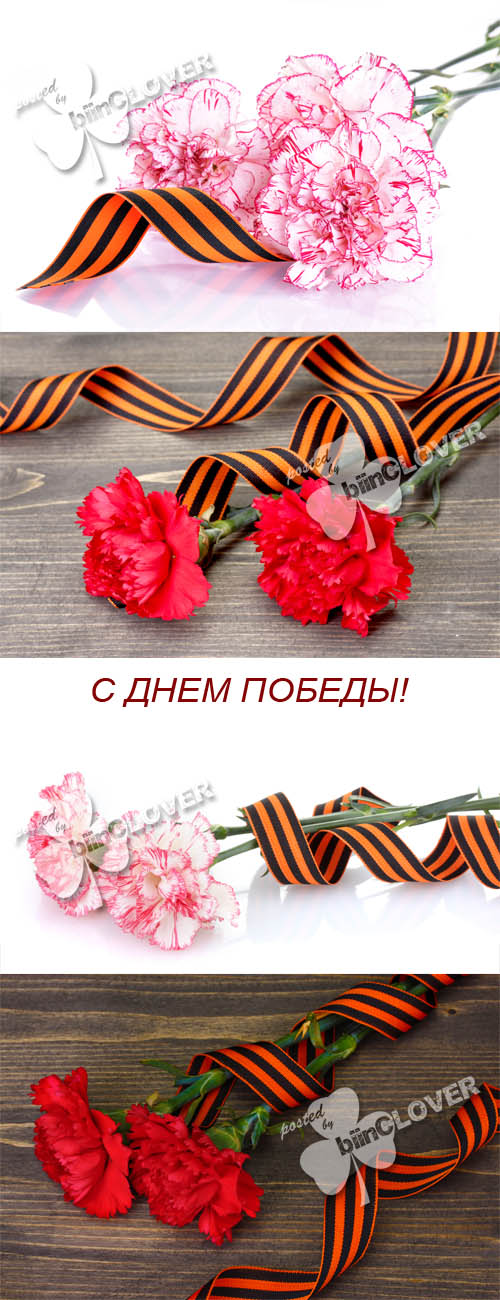Happy Victory Day 0143