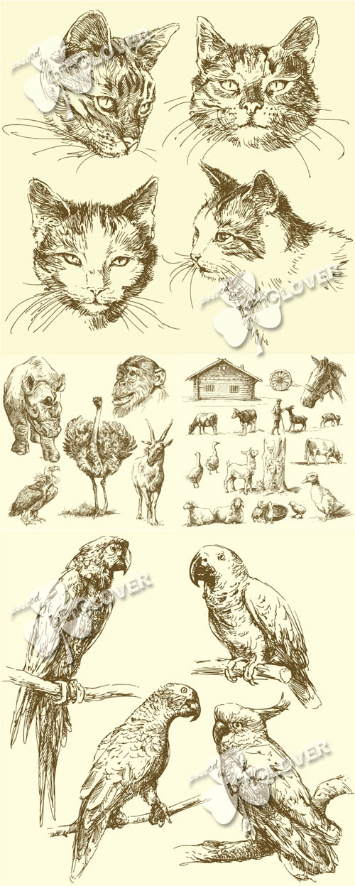 Sketch animals collection 0143