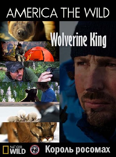  :   / America the wild Wolverine King (2011) HDTVRip