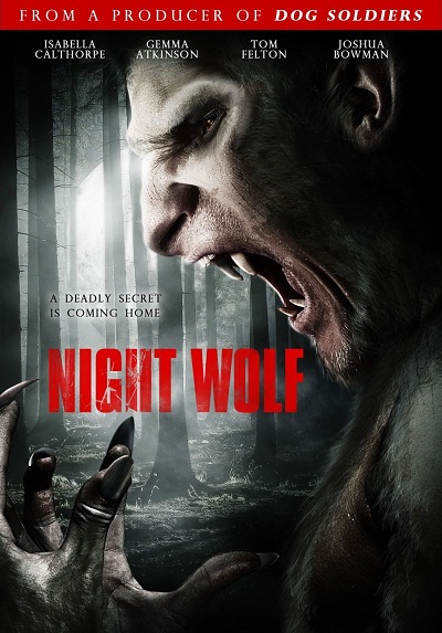Night Wolf (2012) DVDRip x264 AC3-Warhawk