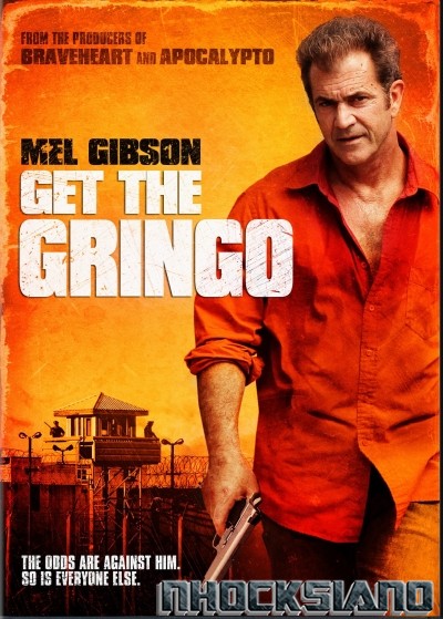 Get the Gringo (2012) DVDRip XviD AC3 - BlueLady