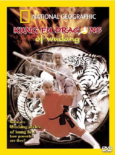  - :  -   / The Kung Fu Dragons of Wudang (2008) SATRip 