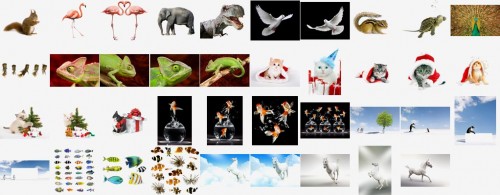 Shutterstock Mega Collection vol.2 - Animals