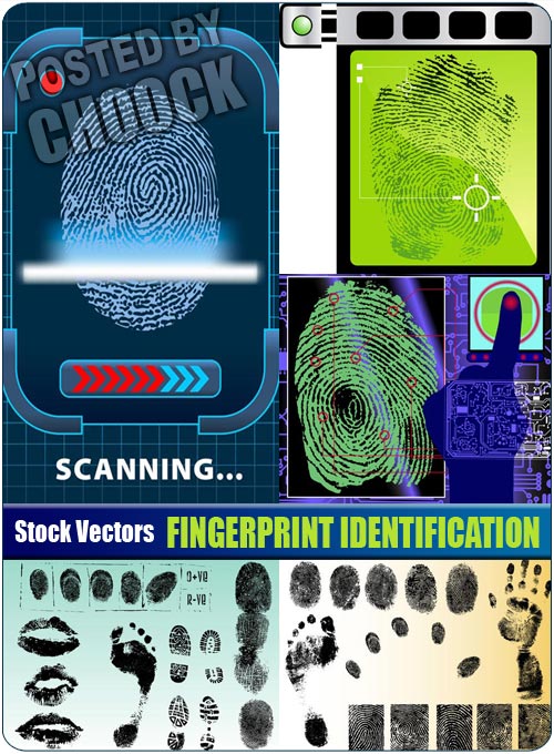 Fingerprint identification - Stock Vector