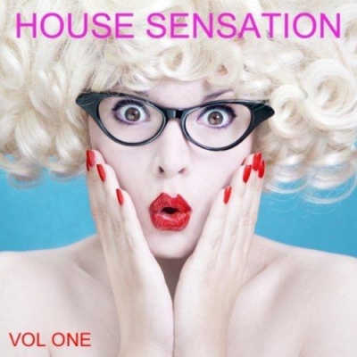 VA - House Sensation Vol. 1 (2012)